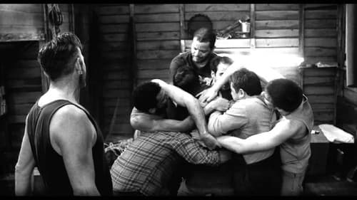 If You Have No Place to Cry Bild 1