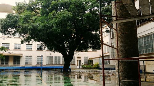 Amaro: O Colégio da Memória Bild 5