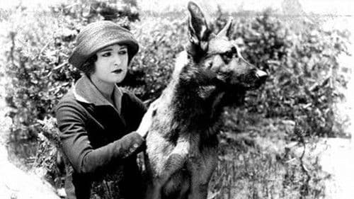 The Silent Call Bild 1