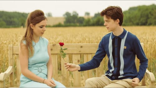 Roses for Lily Bild 1