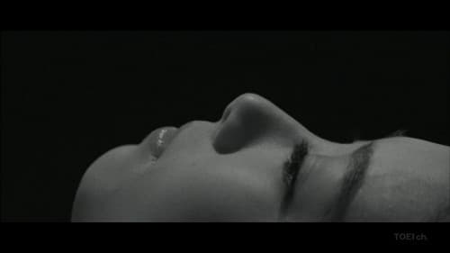 Dezessete Ninja 2: A Grande Batalha Bild 4