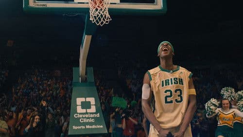 Shooting Stars Bild 3