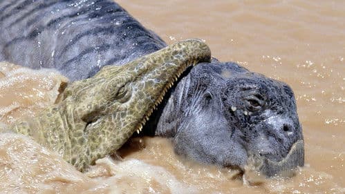 Die Ahnen der Saurier - Im Reich der Urzeitmonster Bild 2