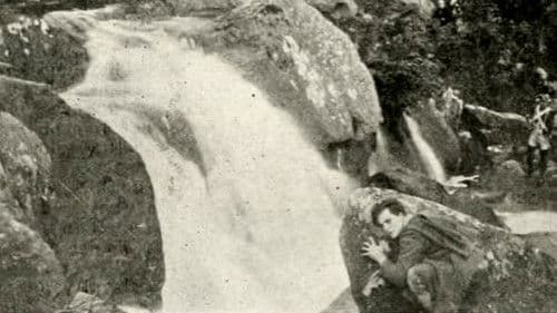 All for Old Ireland Bild 1