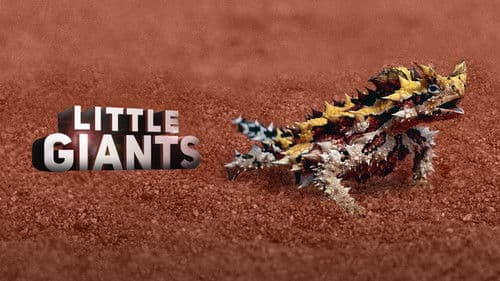 Little Giants – Kleine Tiere ganz groß Bild 3