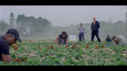 Sunny Life Farms Bild 1