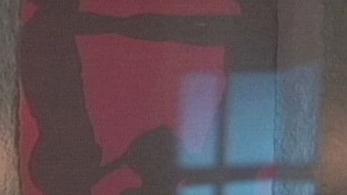 Der Wolga Prinz Bild 2