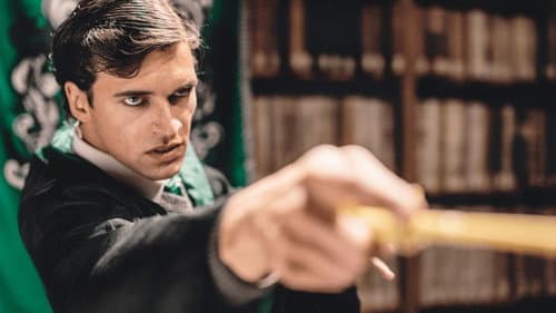 Voldemort: Origins of the Heir Bild 1