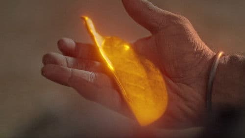 ಕಟ್ಟೆಮಾರ್ Bild 1