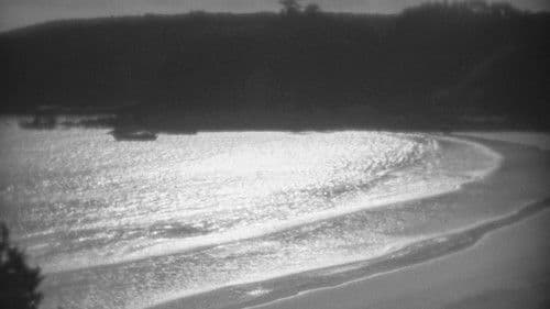 有りがたうさん Bild 3