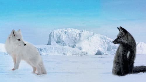 Die Abenteuer von Kina & Yuk Bild 2