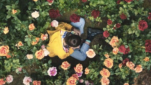 Über mir der Himmel Bild 6