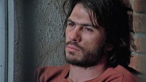 Vergewaltigt hinter Gittern Bild 4