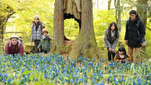 ゴーイング マイ ホーム Bild 1