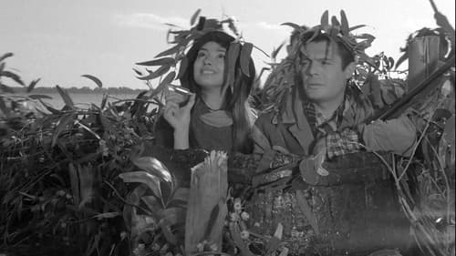 Tutti Innamorati Bild 5