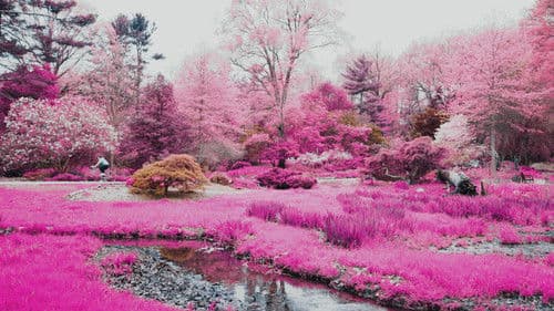 Out of Body, Out of Mind Bild 1