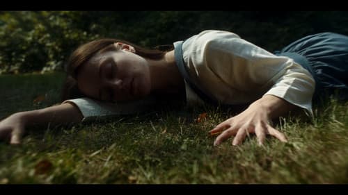 Midnight Coachmen Bild 4