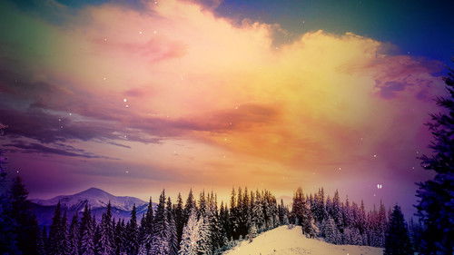 The Great Christmas Light Fight Bild 2