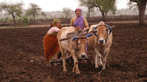 गाभ्रीचा पाऊस Bild 5