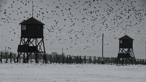 W. – Was von der Lüge bleibt Bild 6