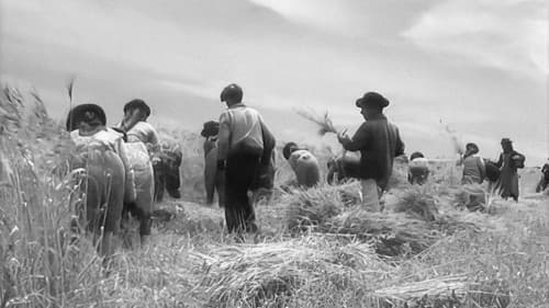 O Trigo e o Joio Bild 2