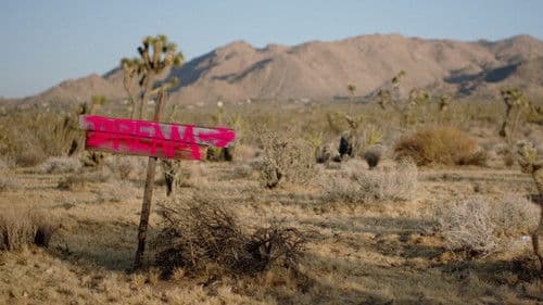 Instant Dreams Bild 4