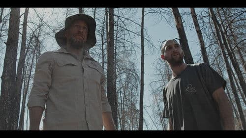 סוקצסיה Bild 8