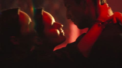 Vous n’êtes pas seuls Bild 7