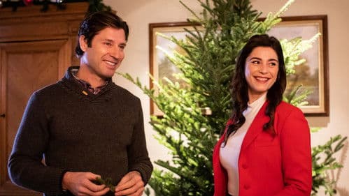 Weihnachten mit Mr. Perfect Bild 2