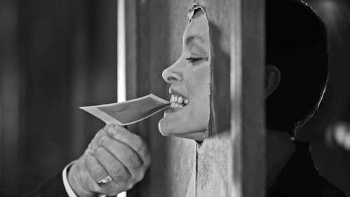 Два в одном Bild 2