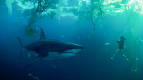 Im Wasser der Seine Bild 8