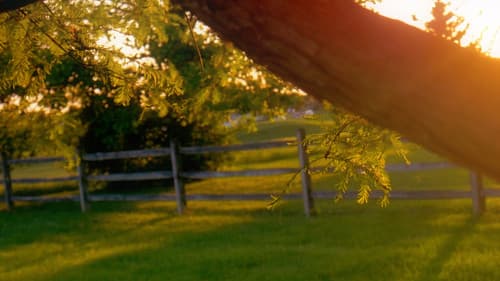 Milestone No. 2 Bild 1