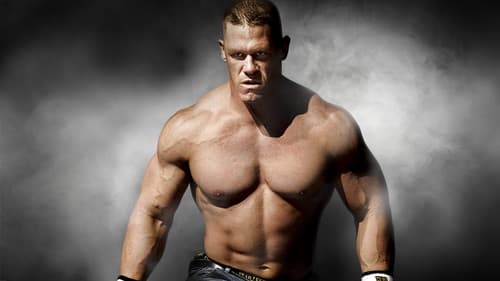 WWE Survivor Series 2008 Bild 1