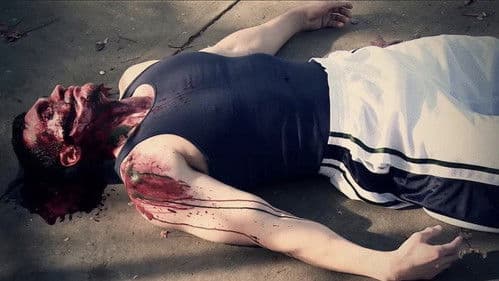 The Summer of Massacre Bild 1