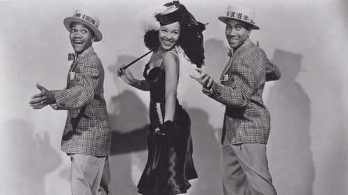 Adoptiertes Glück Bild 5