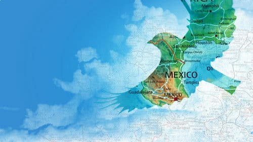 Vogelliebhaber Bild 1