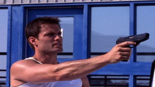 Hollywood Flies Bild 1