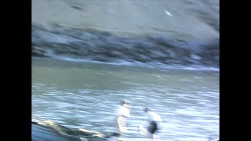 El Perú es un lugar para morir Bild 1