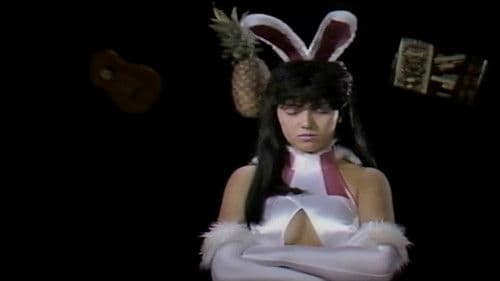 ミラクルバニー Bild 2