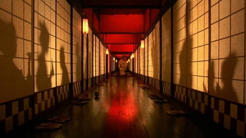 Sakuran - Wilde Kirschblüte Bild 7