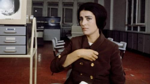 N.P. - Il segreto Bild 4