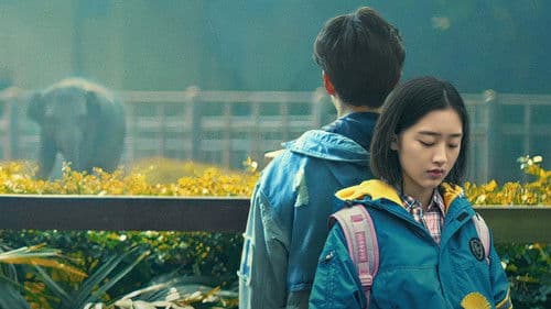 会考试的猛犸象 Bild 1