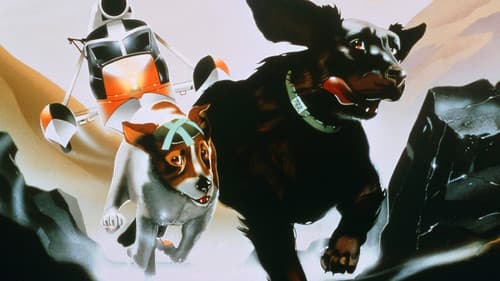 Die Hunde sind los Bild 3