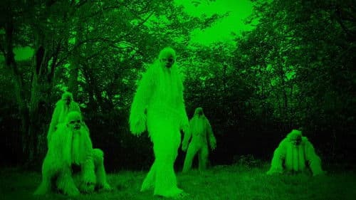 Turtle Island Bild 3