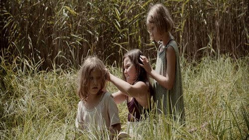 Wald der Echos Bild 3