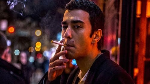 The Cat and the Moon Bild 1