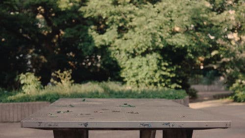 Gestern war noch Sommer Bild 4