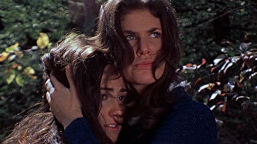 Das letzte Haus links Bild 6