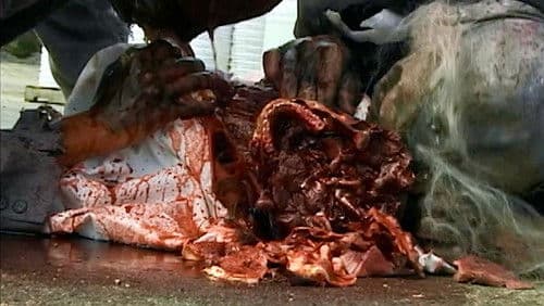 Bone Sickness Bild 6