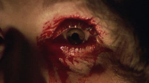 Die Augen der Laura Mars Bild 8